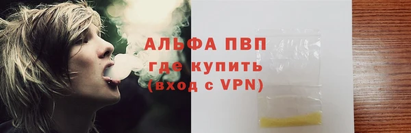 Альфа ПВП Верея